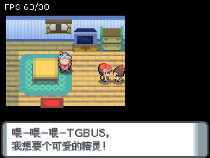 口袋妖怪钻石截图