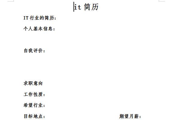 it简历模板截图