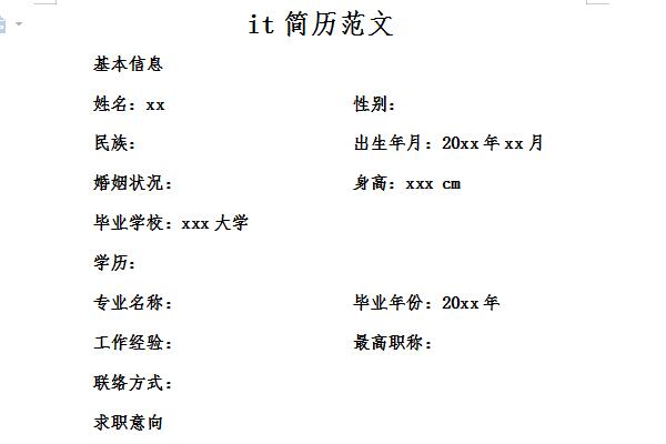 it简历范文截图
