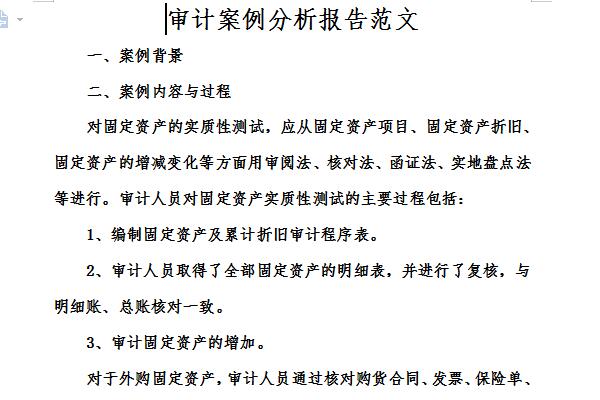 审计案例分析报告范文截图