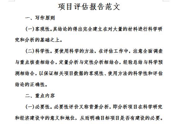 项目评估报告范文截图