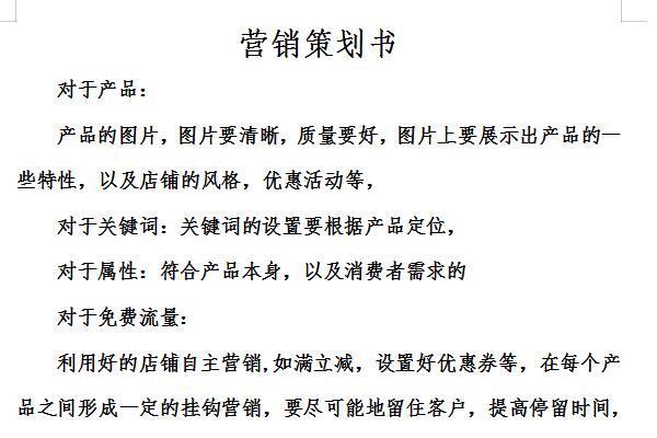 国际市场营销策划书截图