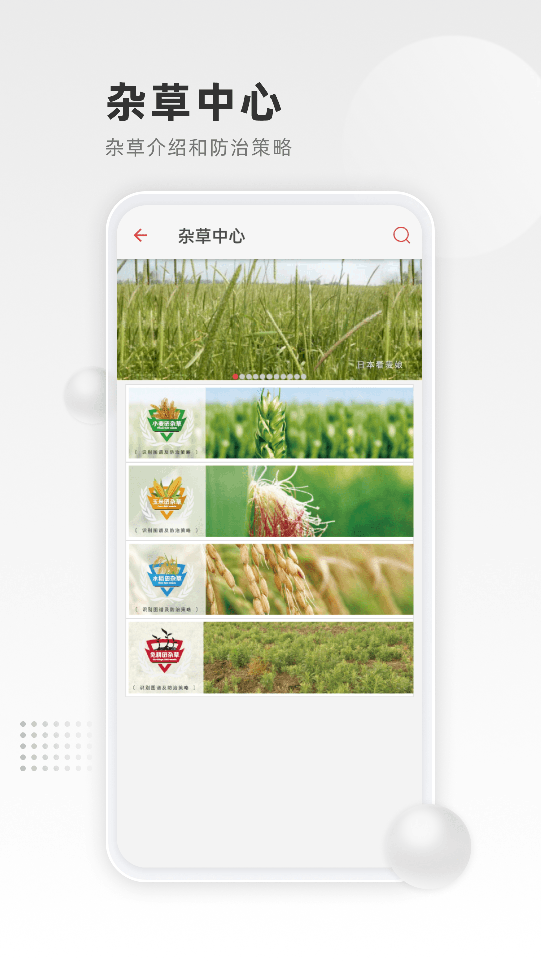 清原农冠 清原农冠截图