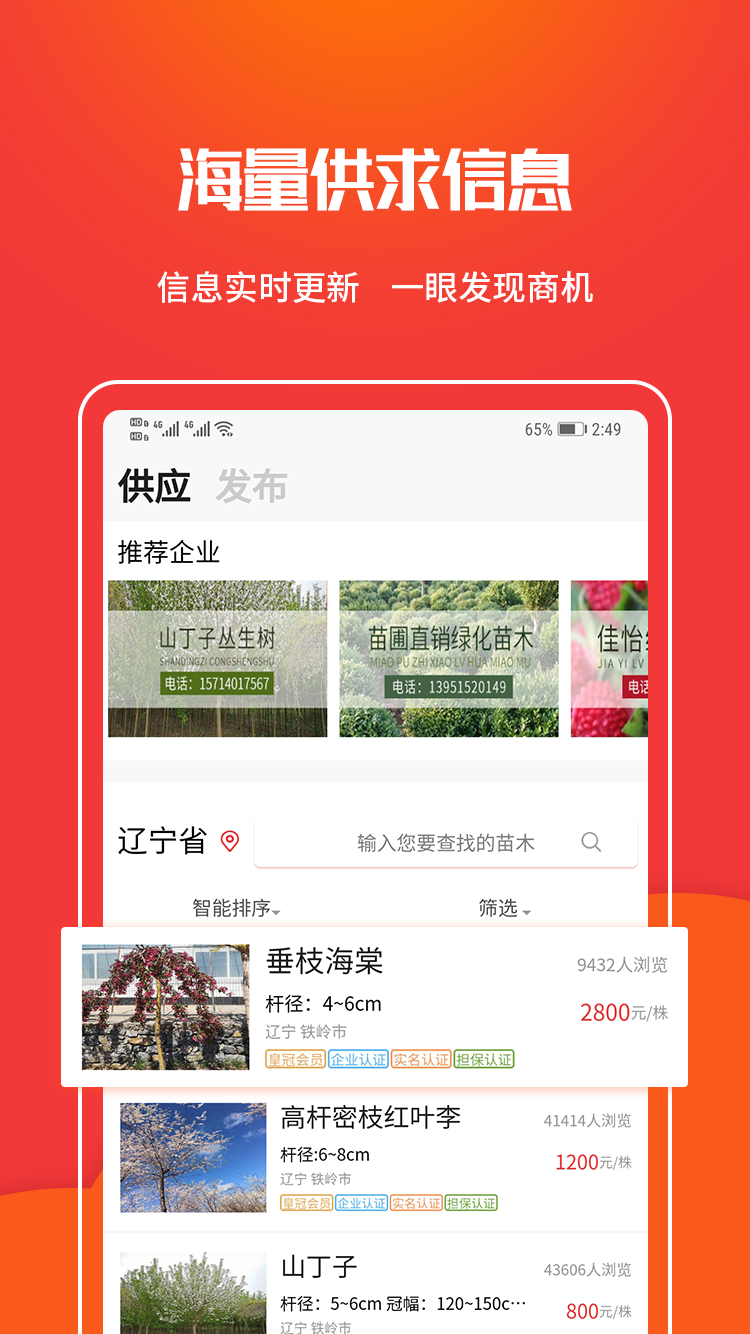 苗木网 苗木网截图