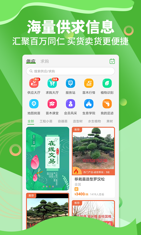 苗木通 苗木通截图