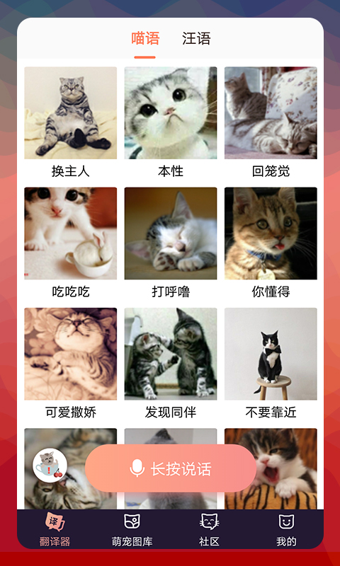 猫语翻译器 猫语翻译截图