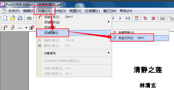 FoxitPDFEditor截图