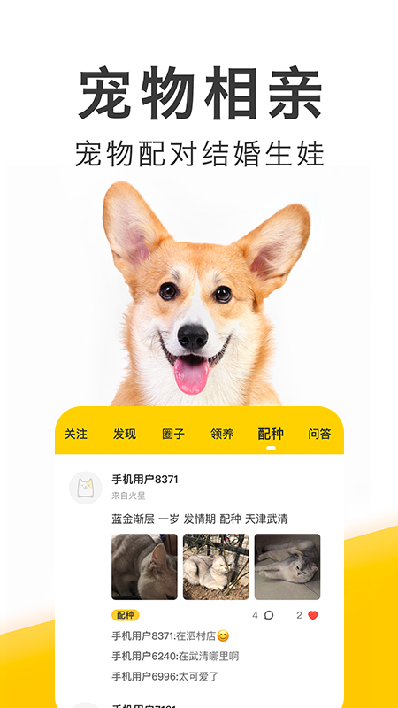 有只宠物 有只宠物截图