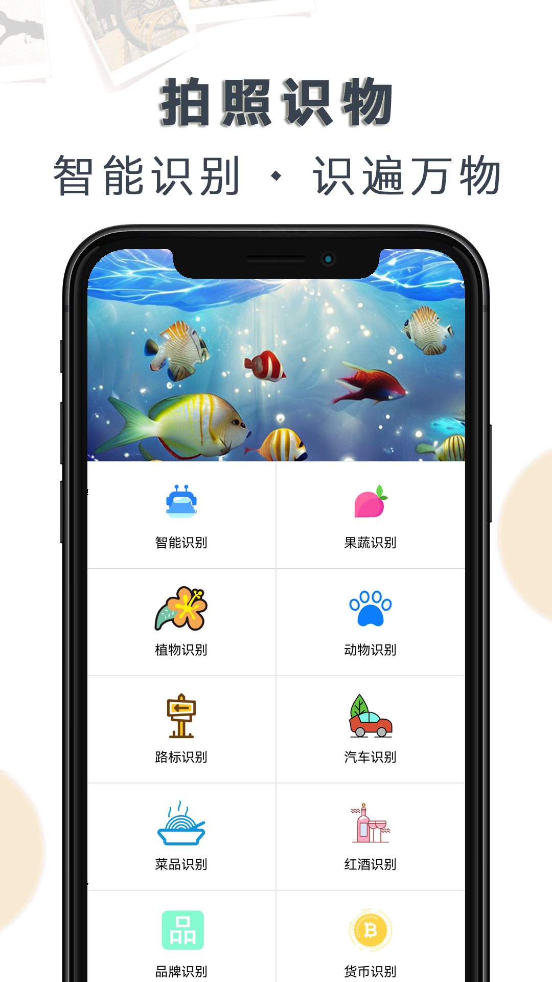 拍照识物 拍照识物截图