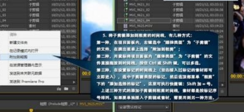 Prelude CC 2020截图