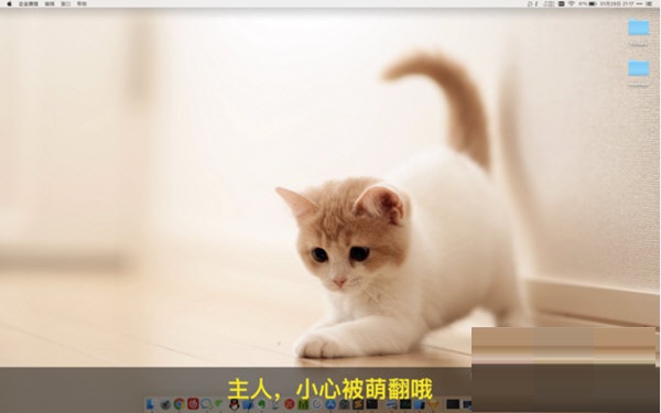 喵喵壁纸Mac截图
