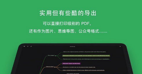 Metion Mac截图