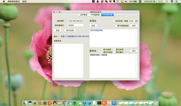 网络调试助手Mac截图