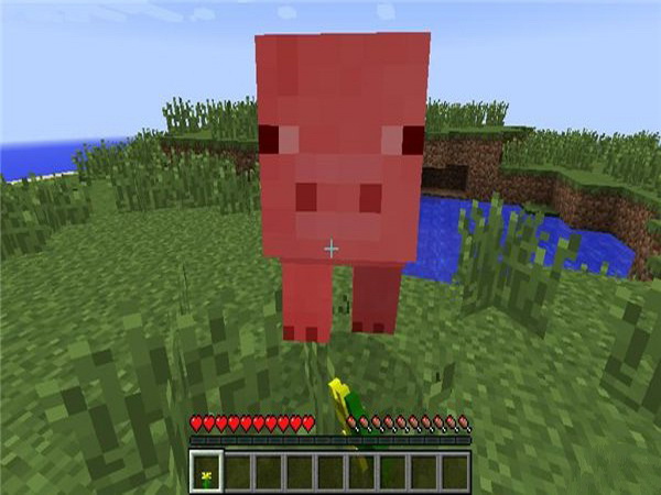 Minecraft1.16电脑版截图