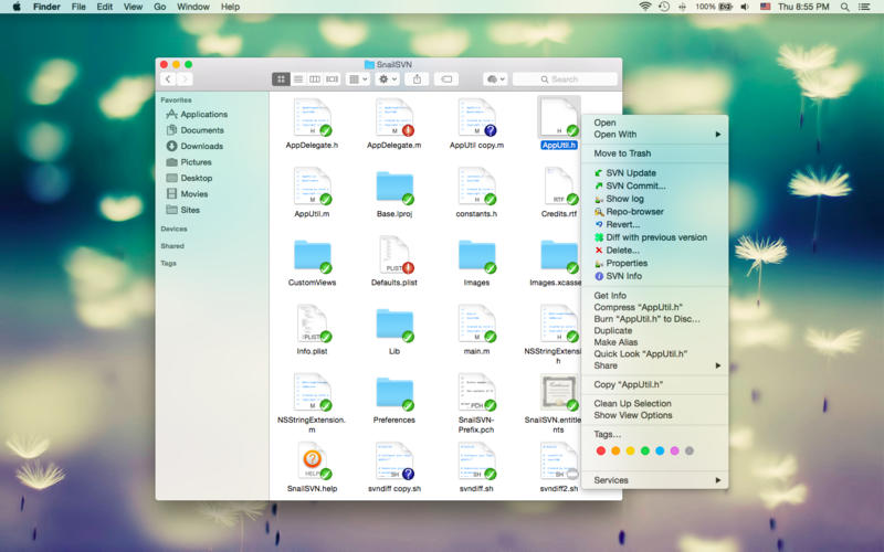 SnailSVN for Mac截图