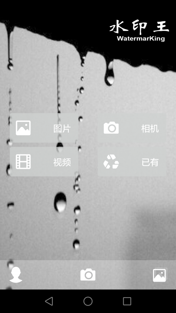 水印王截图