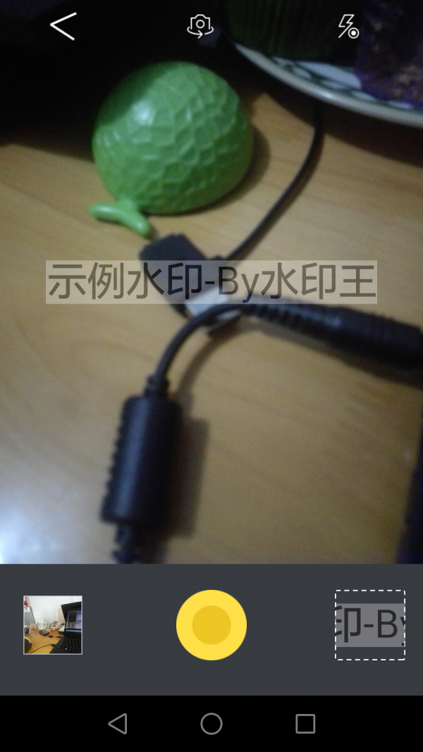 水印王截图