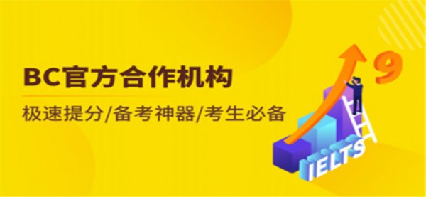 雅思写作电脑版截图