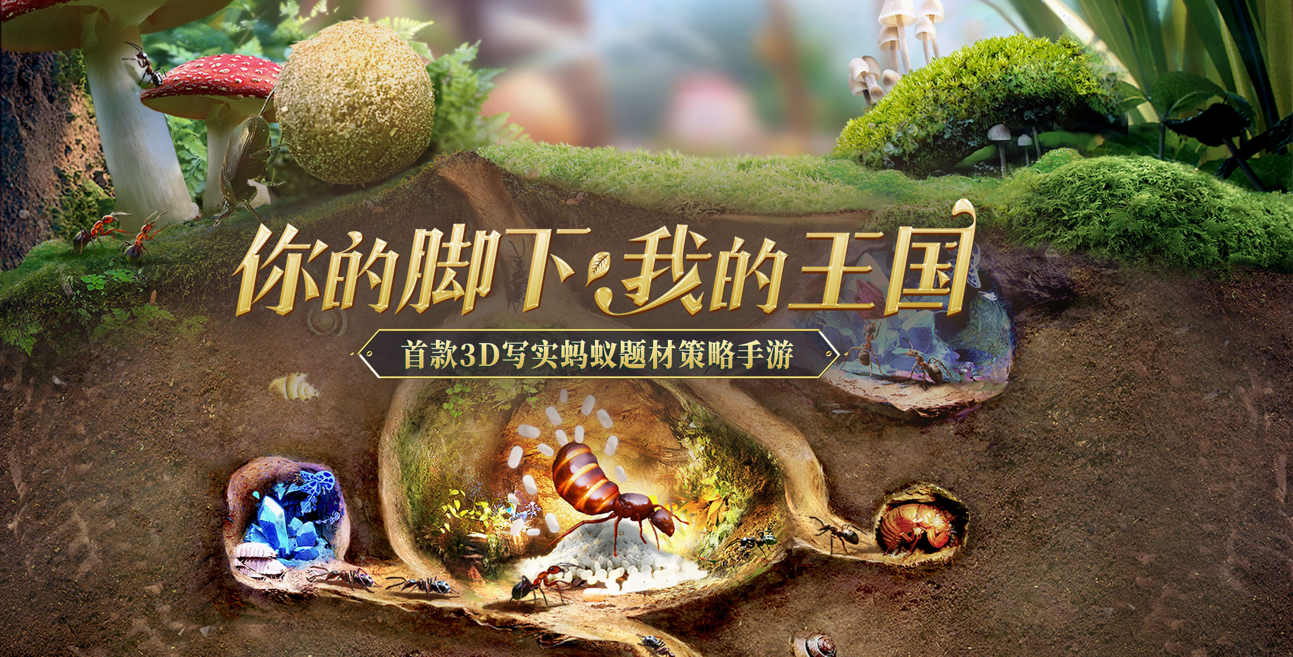 小小蚁国截图