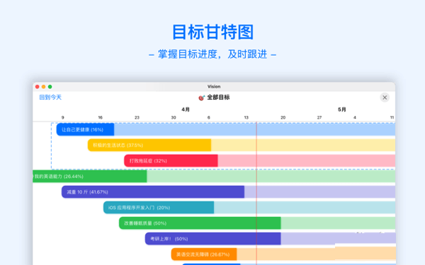 Vision Mac截图