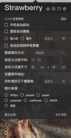 Strawberry Wallpaper for Mac截图