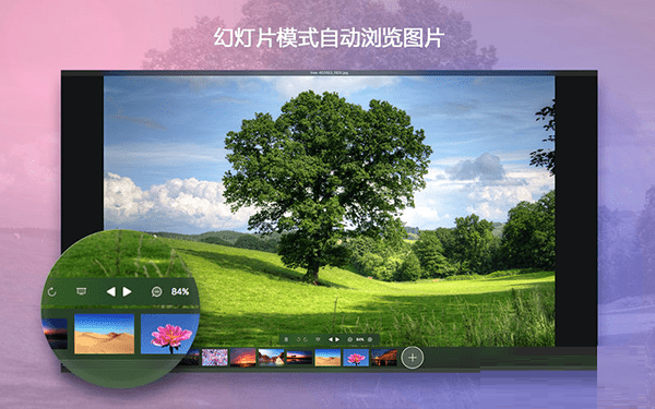 Image View Mac截图