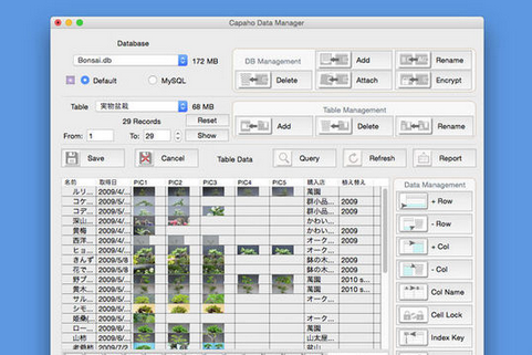 Data Manager Mac截图