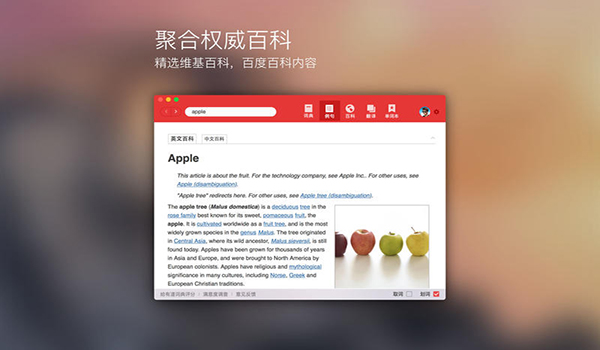 网易有道词典Mac截图