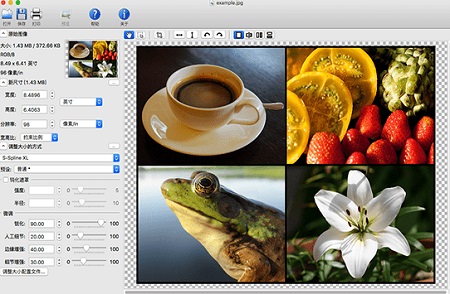 PhotoZoom Classic Mac下载 PhotoZoom Classic Mac截图