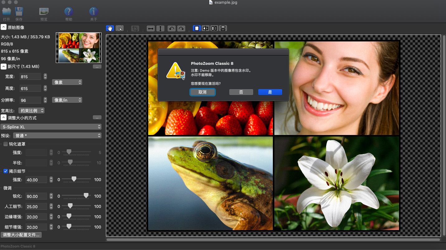 PhotoZoom Classic Mac下载 PhotoZoom Classic Mac截图