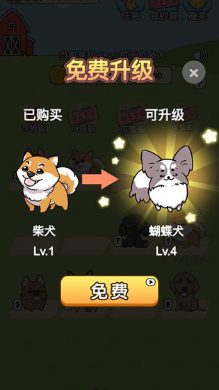 我的狗狗a 我的狗狗截图