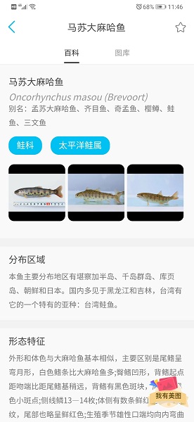 看鱼截图