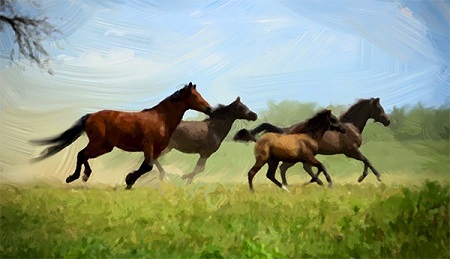 AKVIS OilPaint Mac截图
