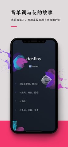 背词达人学生版电脑版截图