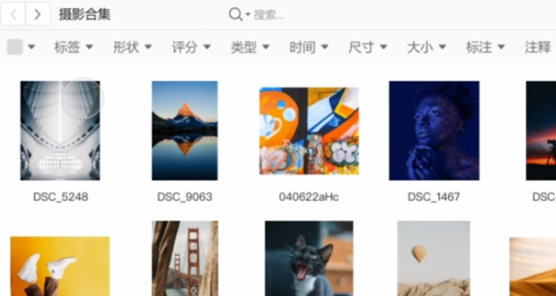 Billfish Mac截图