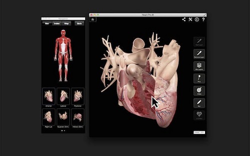Heart Pro III for mac截图