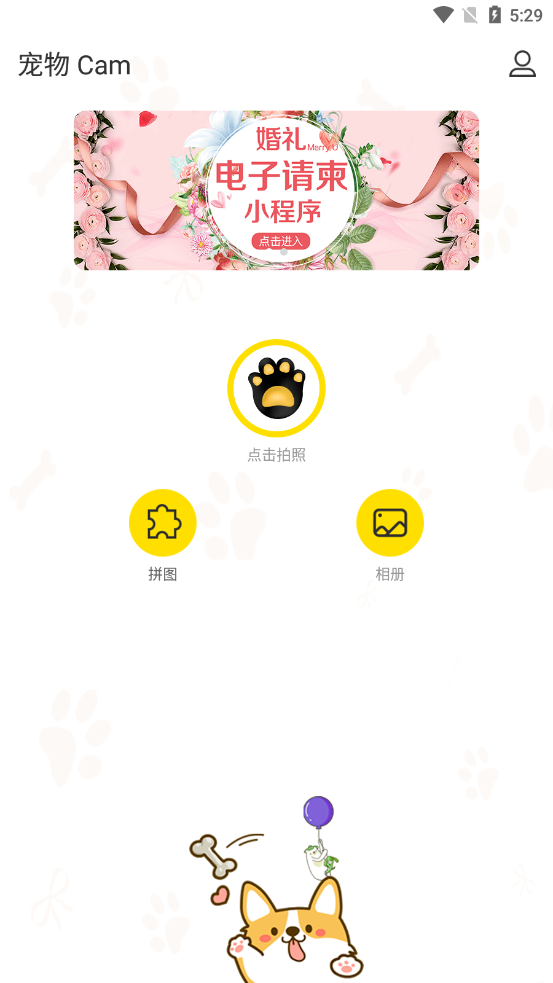 宠物Cam截图