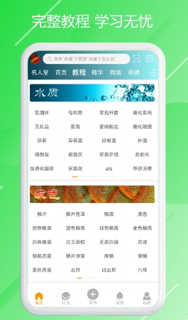 龙族截图