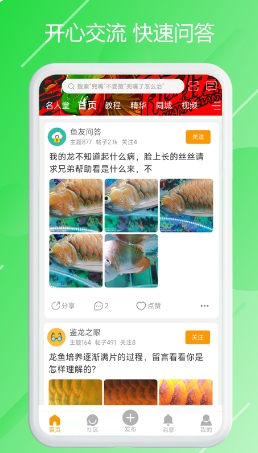 龙族截图