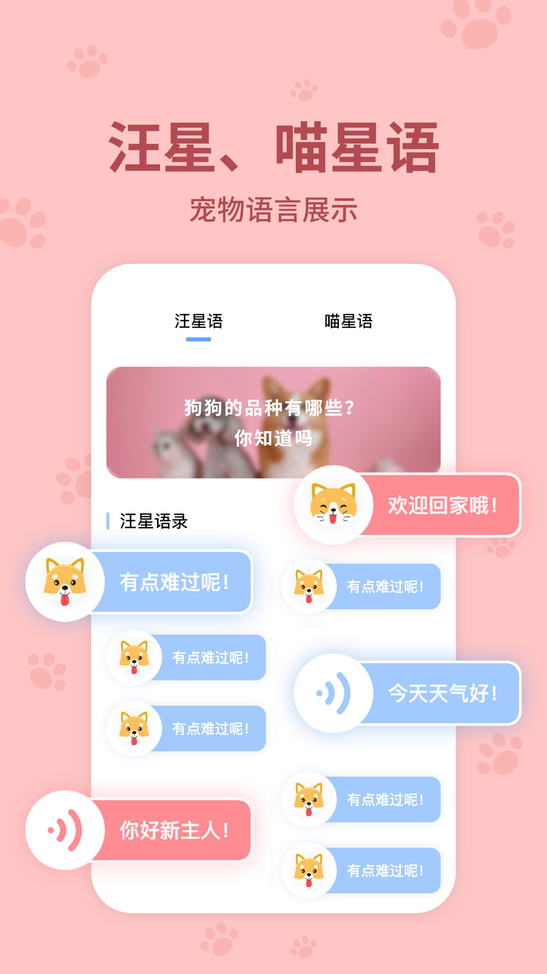 动物翻译器 动物翻译器截图