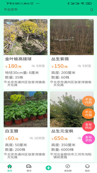 苗木人截图