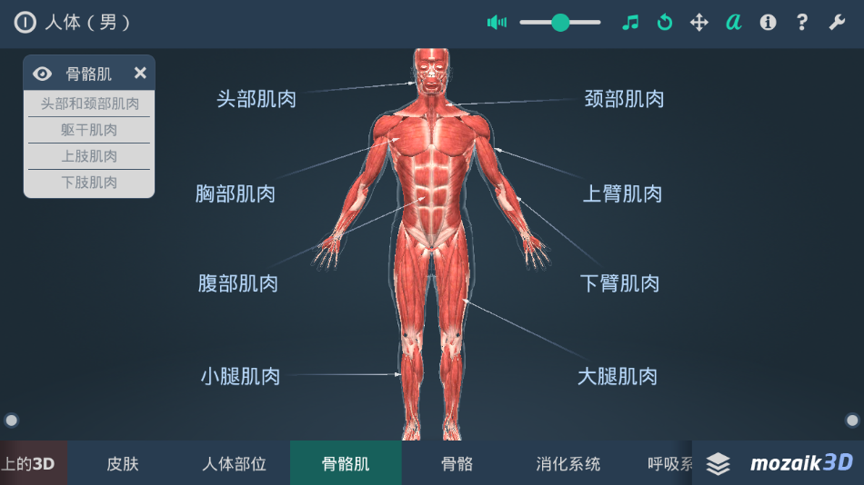 立体全身解剖模拟 立体全身解剖模拟电脑版截图