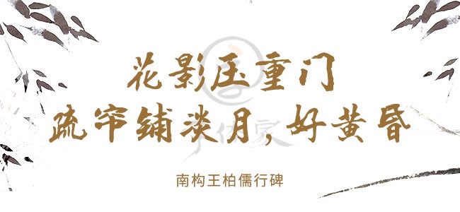 南构王柏儒行碑截图