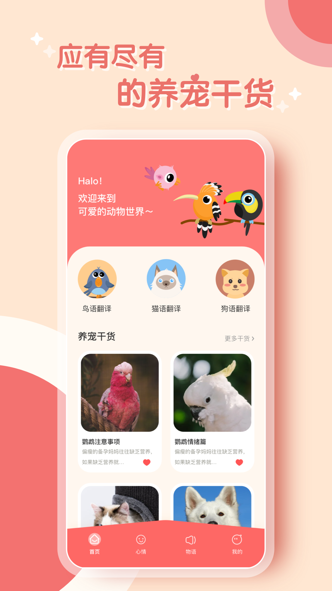 鹦鹉翻译器 鹦鹉翻译器截图