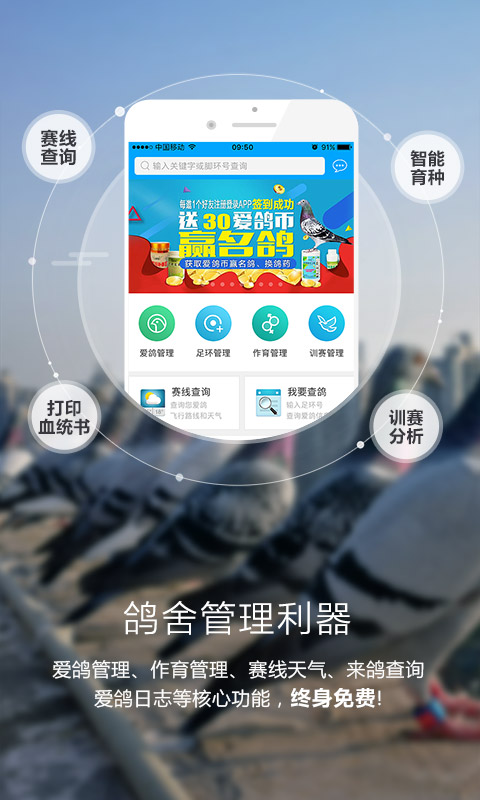 爱鸽者 爱鸽者截图