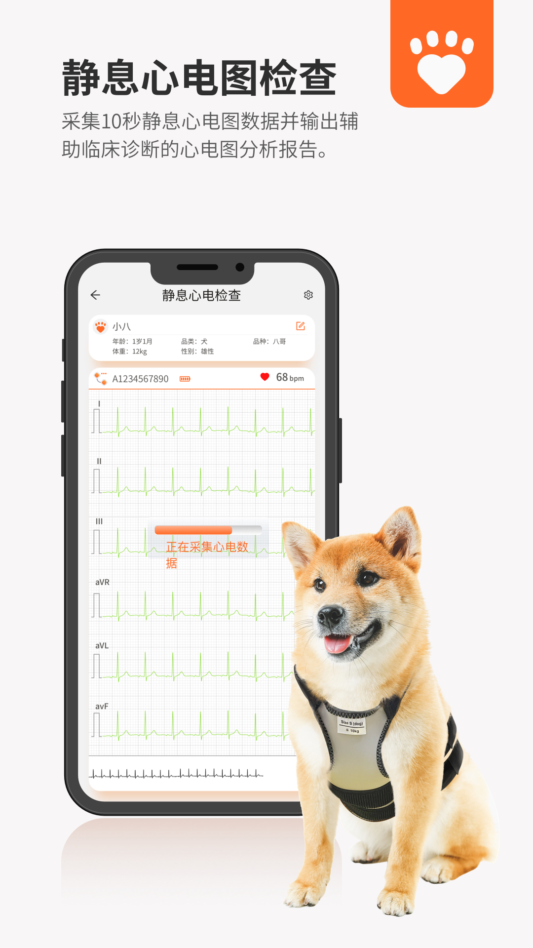 星爱宠截图