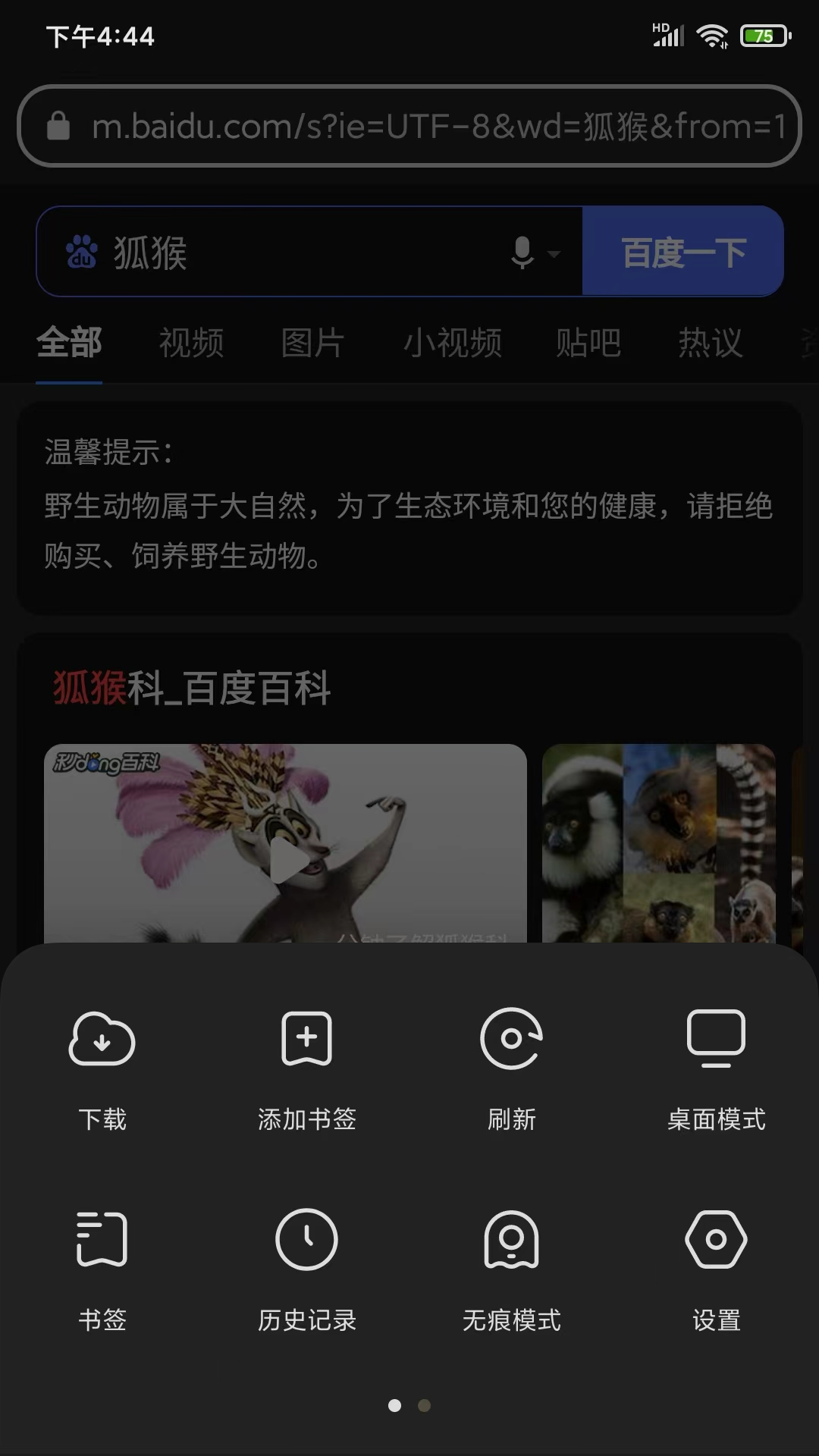 狐猴浏览器 狐猴浏览器截图
