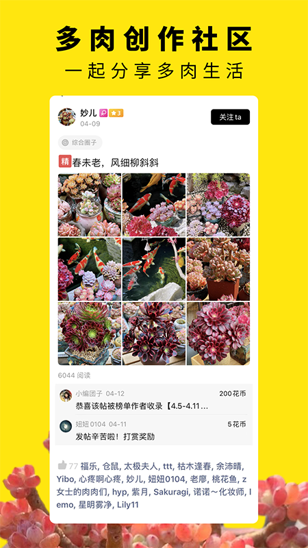 多肉圈 多肉圈截图