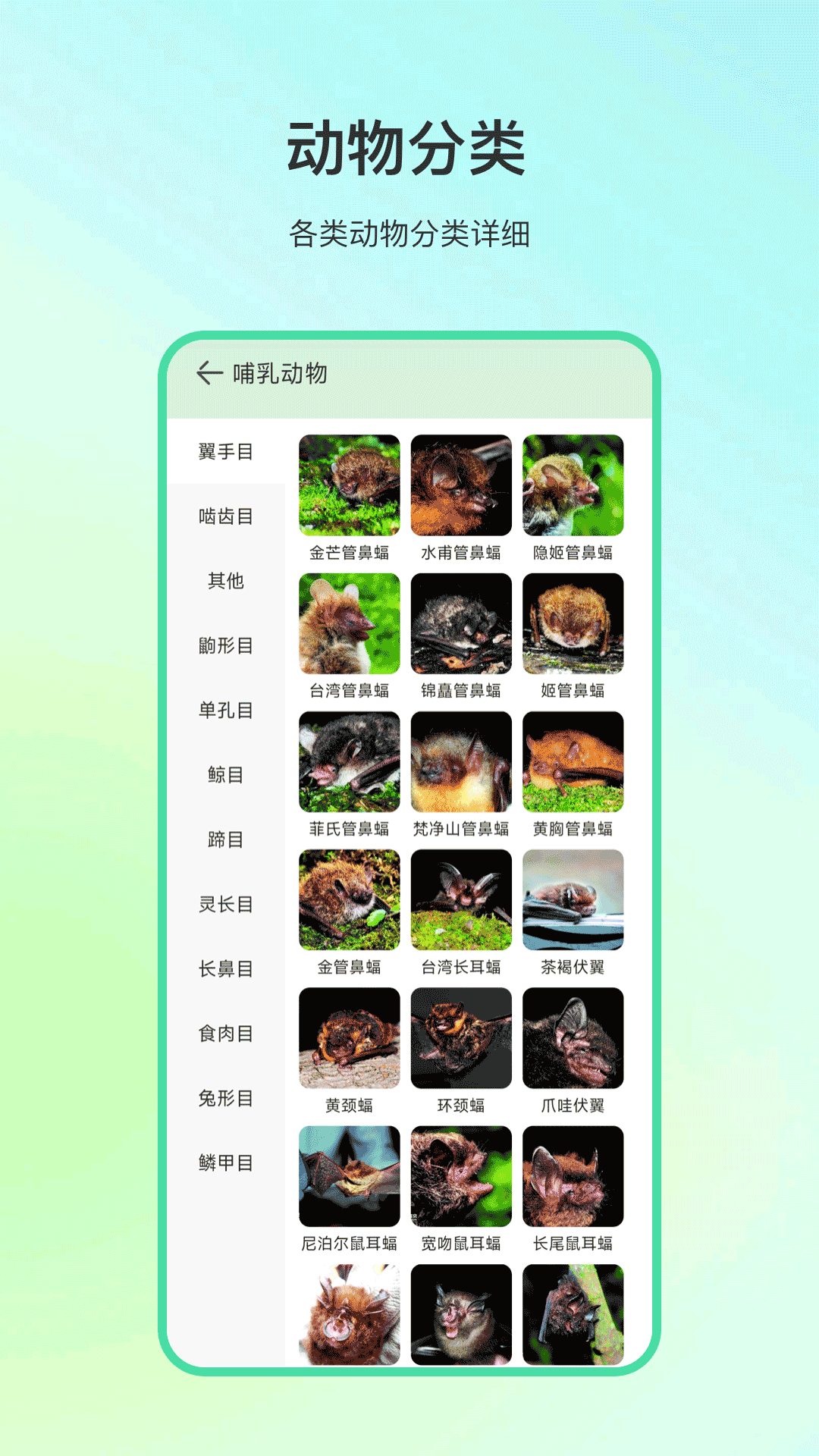 动物百科 动物百科截图