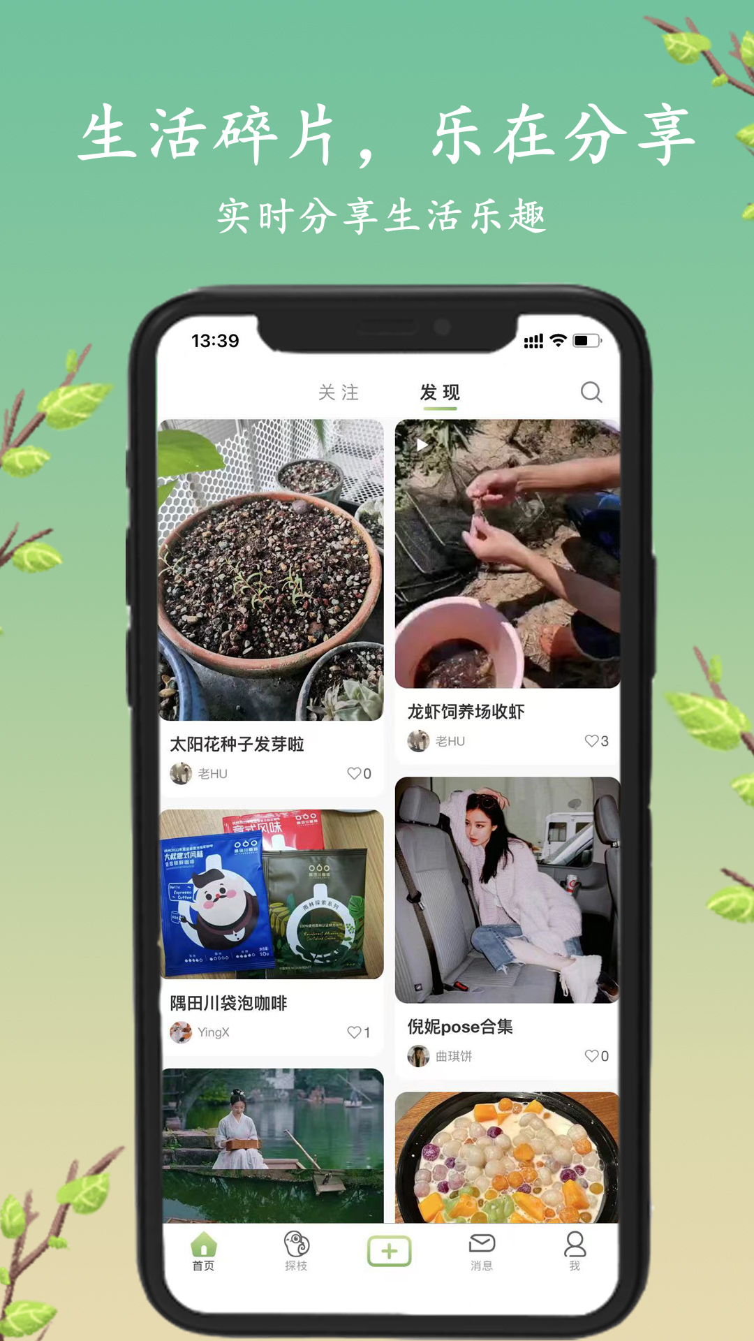 探枝截图